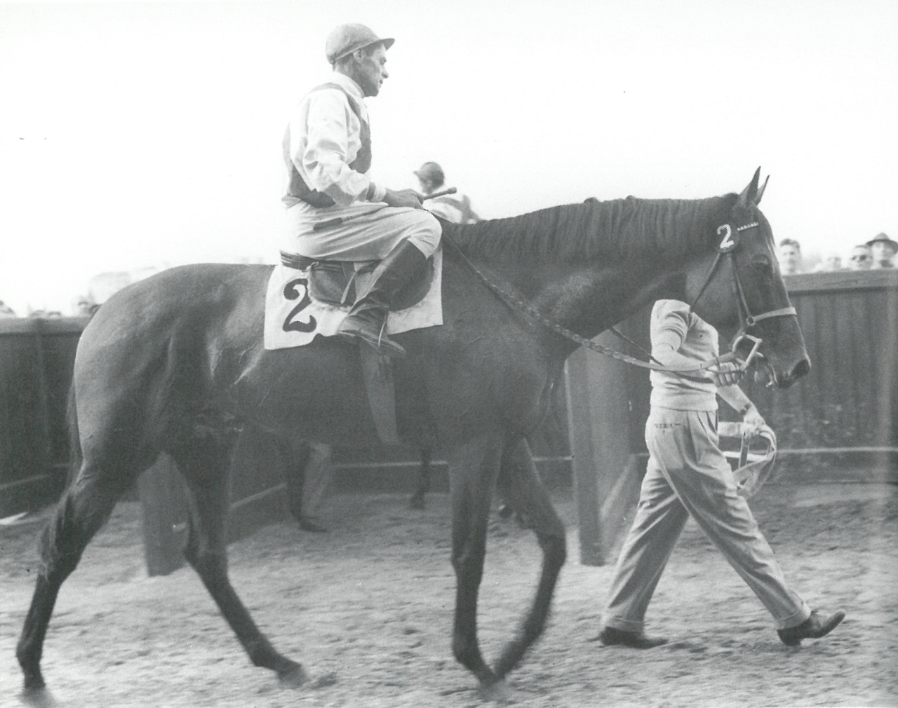 Ribot 1952-1972 - Ippodromo di San Rossore